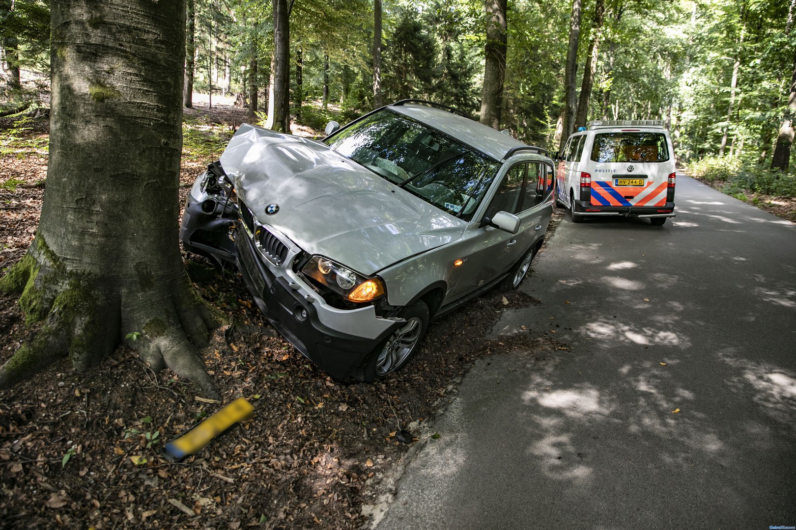Automobilist botst tegen boom in Nationaal Park Veluwezoom