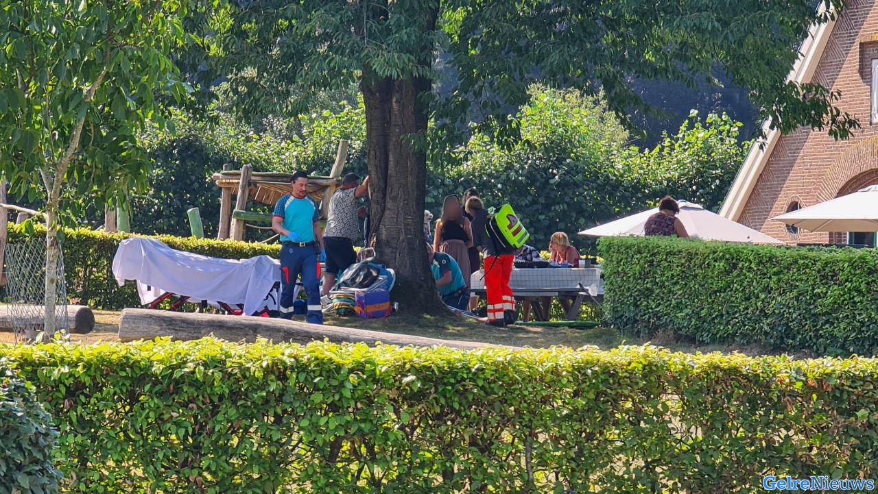 Man in zorgwekkende toestand na bijensteek