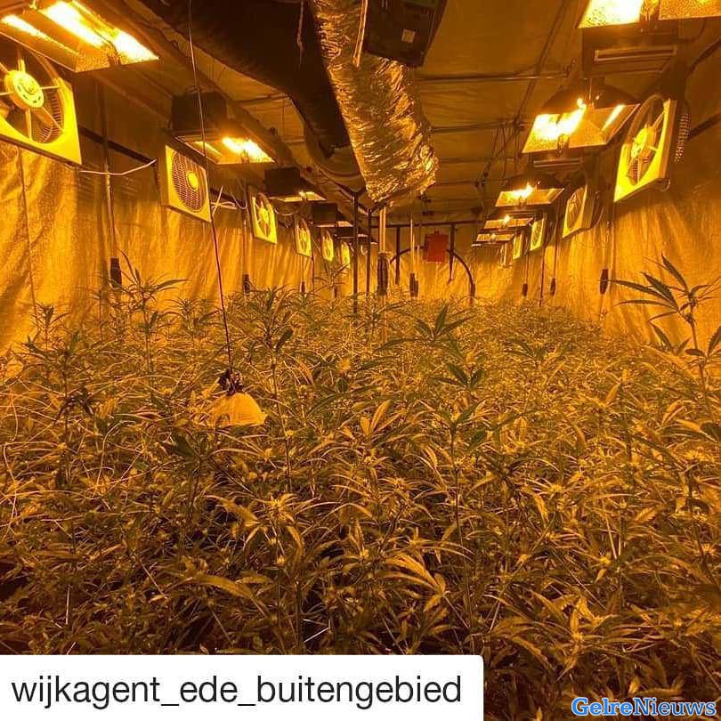 Bijzondere vondst: ondergrondse wietplantage