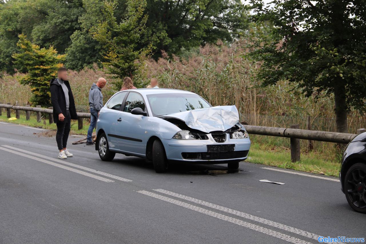 Automobilist frontaal in botsing met hert op Kanaalweg