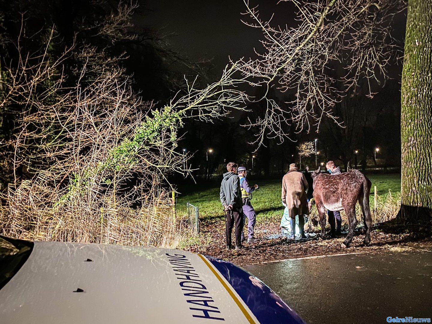 Hulpdiensten rukken uit voor koppige ezel in Arnhem