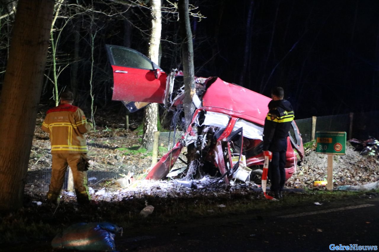Bizarre crash tegen boom, bestuurder gewond