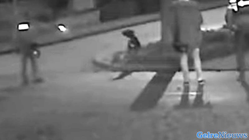 Geen plichtsverzuim na incident met agressieve Staffordshire terriër