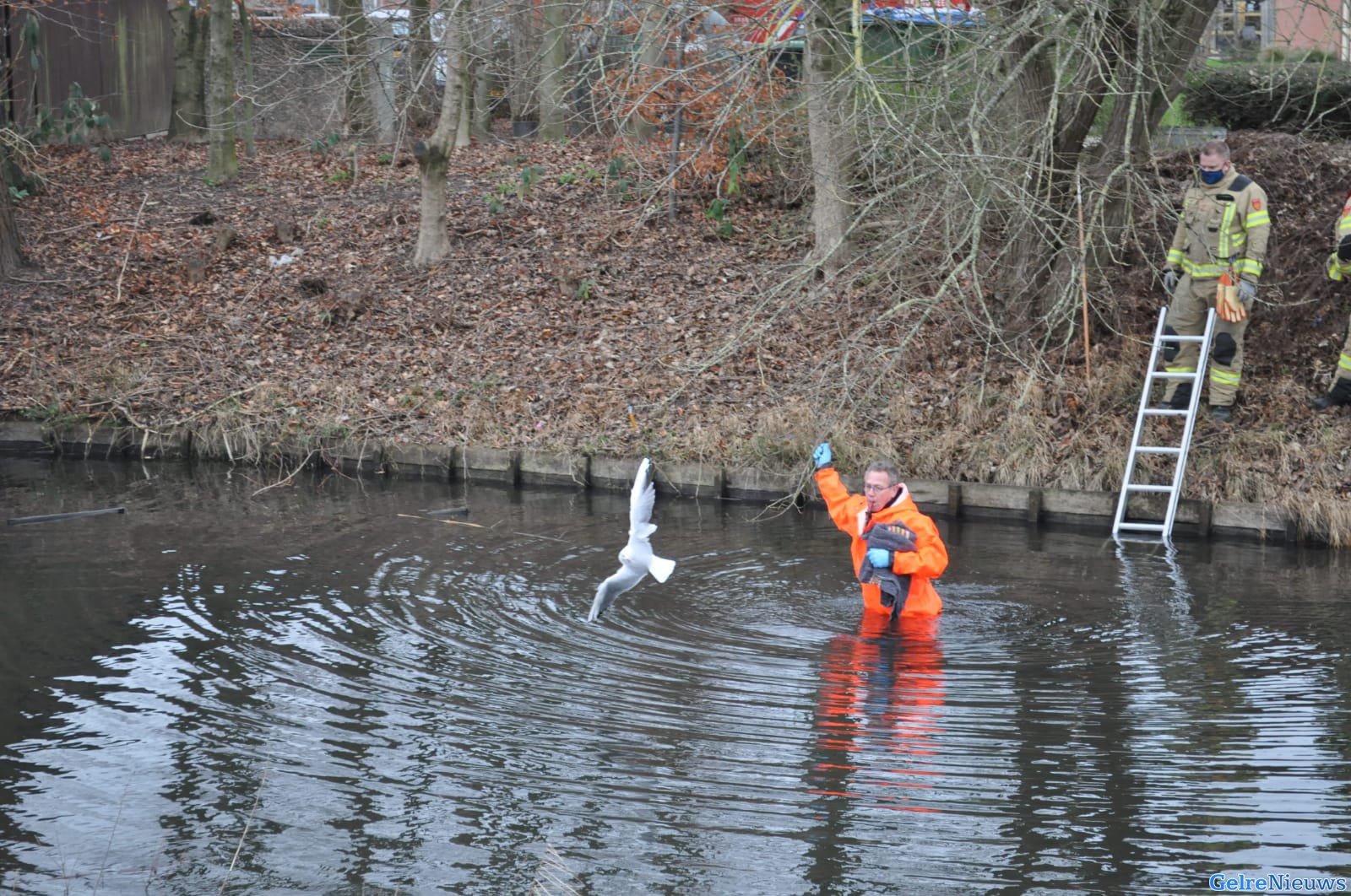 Vogel vast aan visdraad in boom: brandweer redt het dier