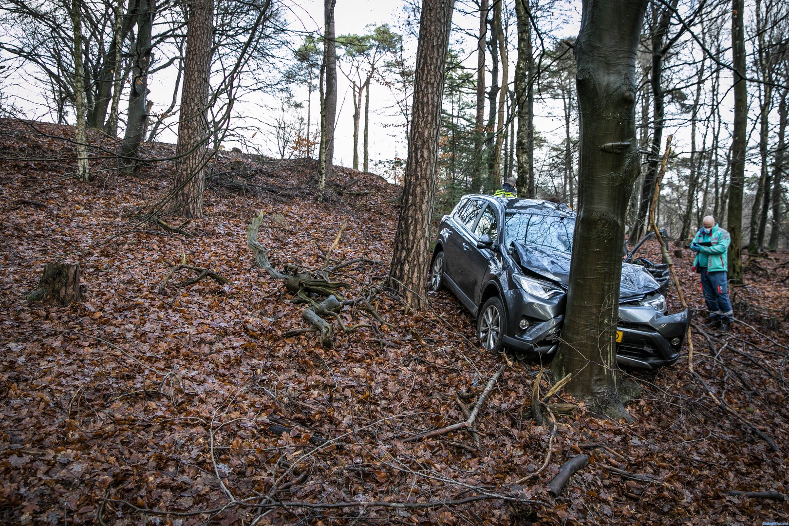 Echtpaar in auto ramt boom in bos bij Velp