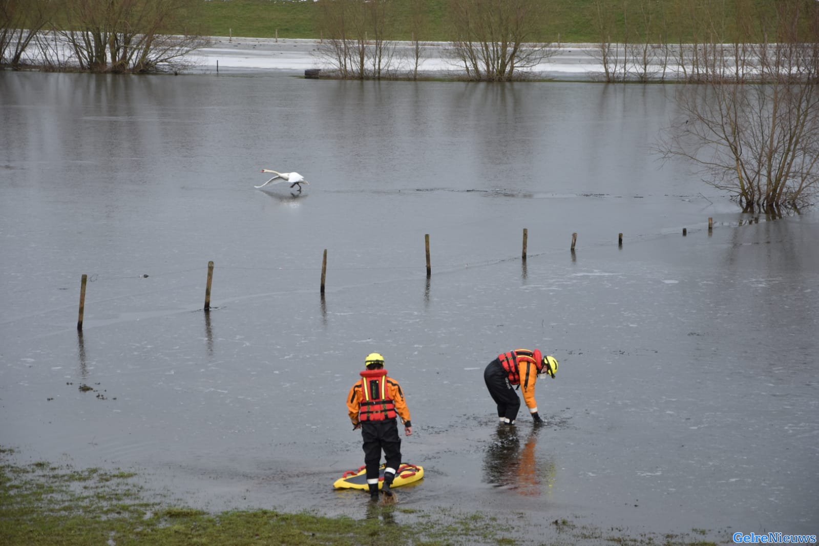 ‘Vastgevroren zwaan’ laat brandweer oefenen in het water
