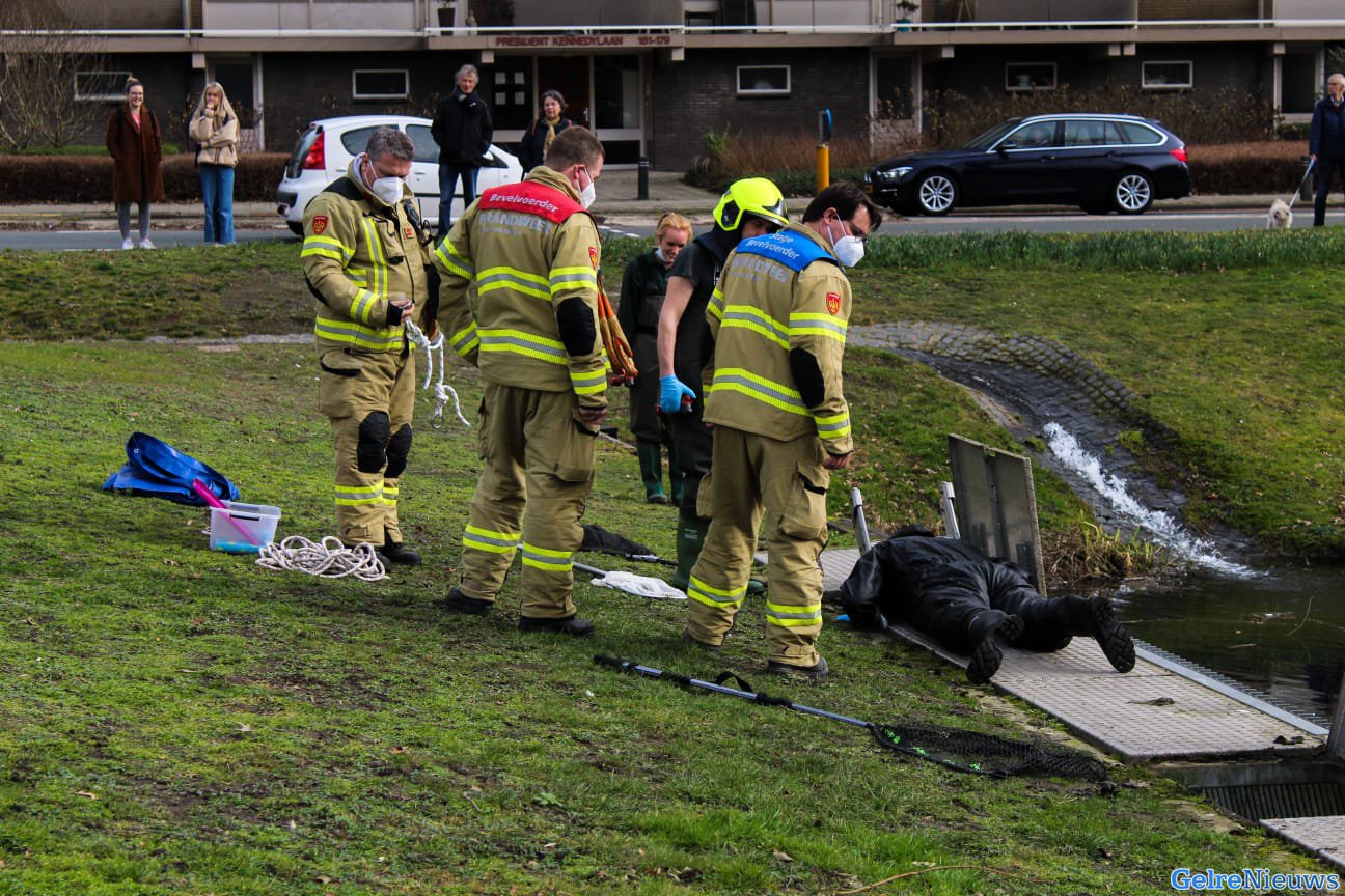 Brandweer redt meerkoet uit bezinkput