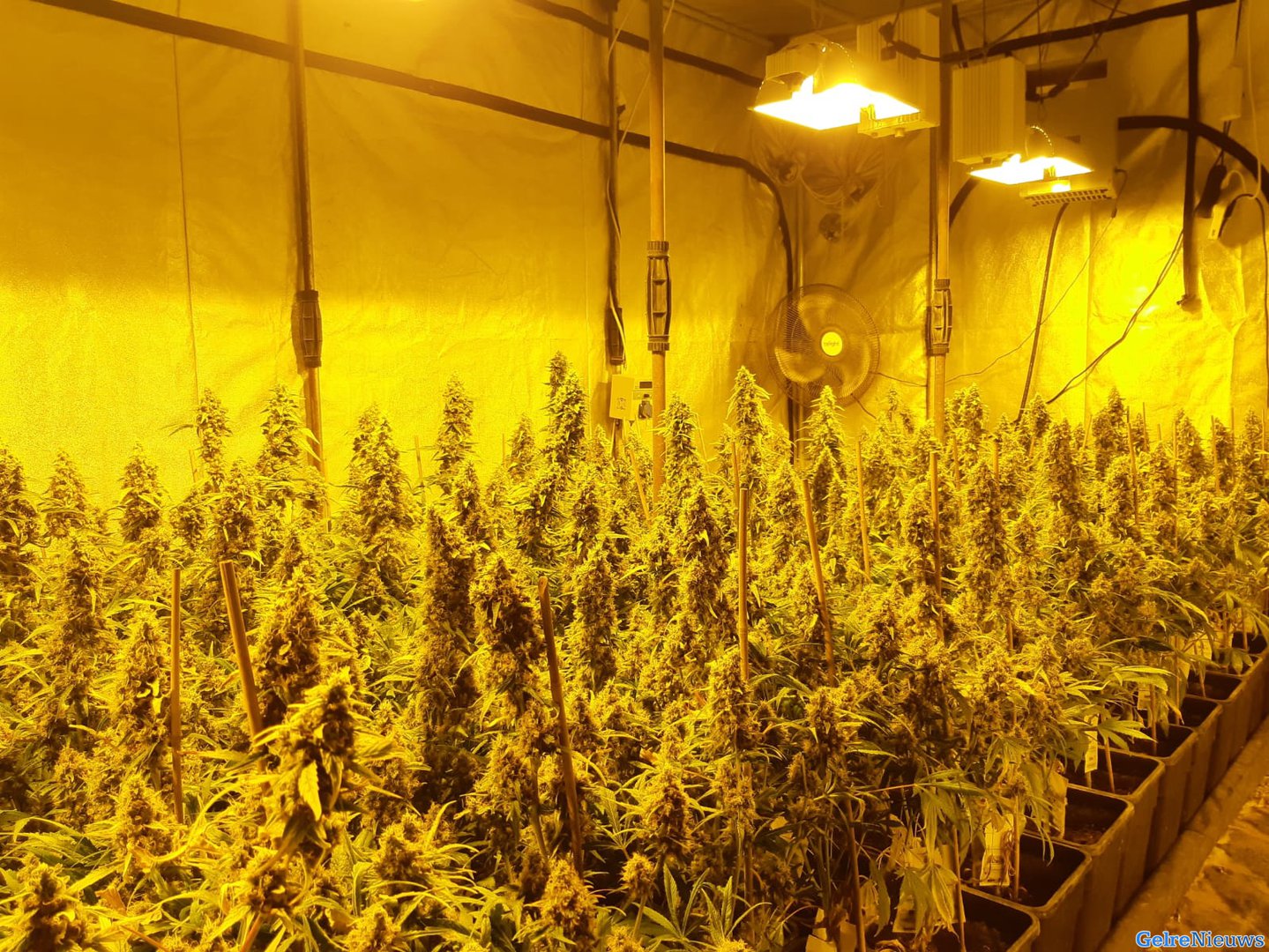 Hennepkwekerij opgerold bij industrieterrein in Velp