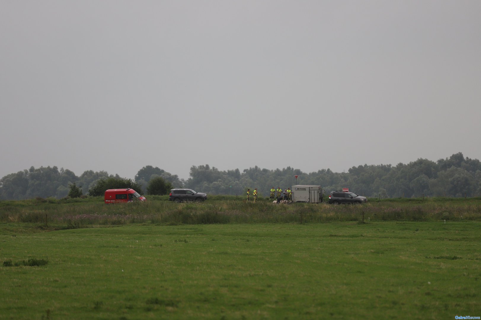 Stier valt boer aan in Neerijnen
