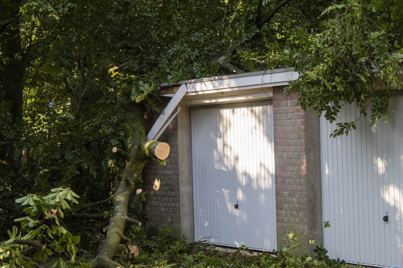 Garagebox beschadigd door afgebroken tak in Velp