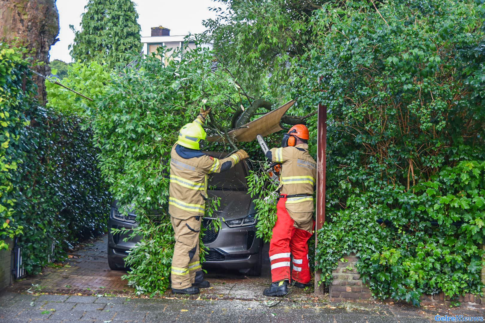 Doek beschermt dure Jaguar van grote vallende tak