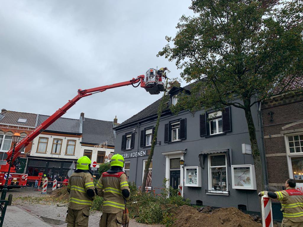 Boom valt tegen woning in Doesburg