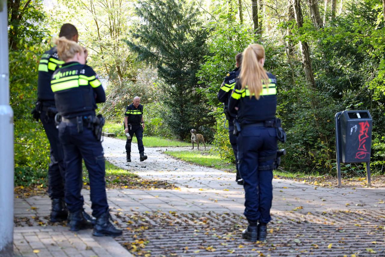 Agressieve hond vastgebonden aan de boom gedumpt