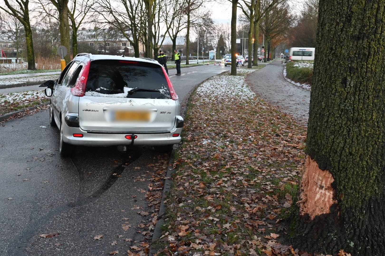 Bestuurder gewond na botsing tegen boom in Westervoort