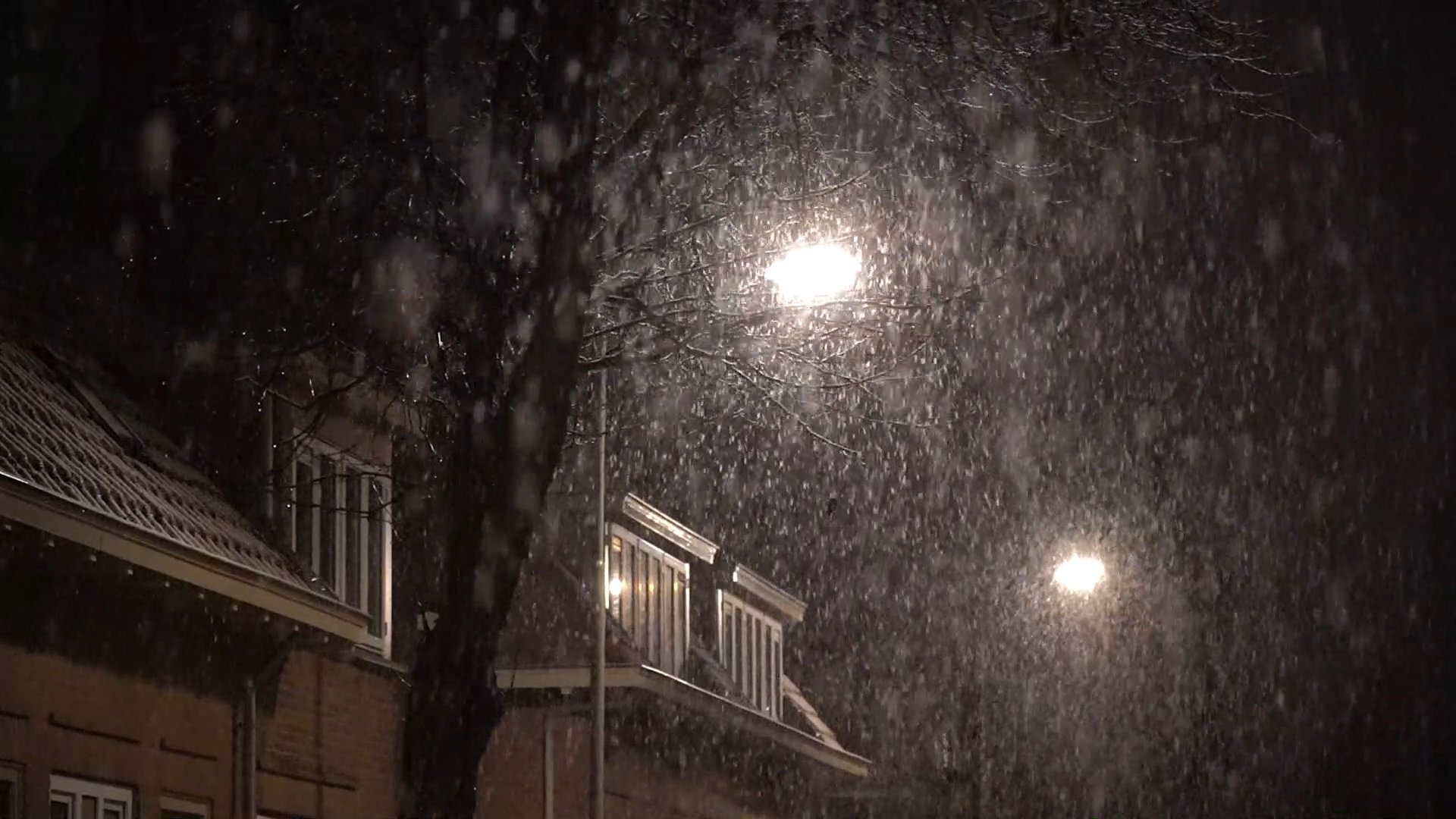 Code geel: dikke vlokken sneeuw, lokaal meer dan 5 centimeter mogelijk