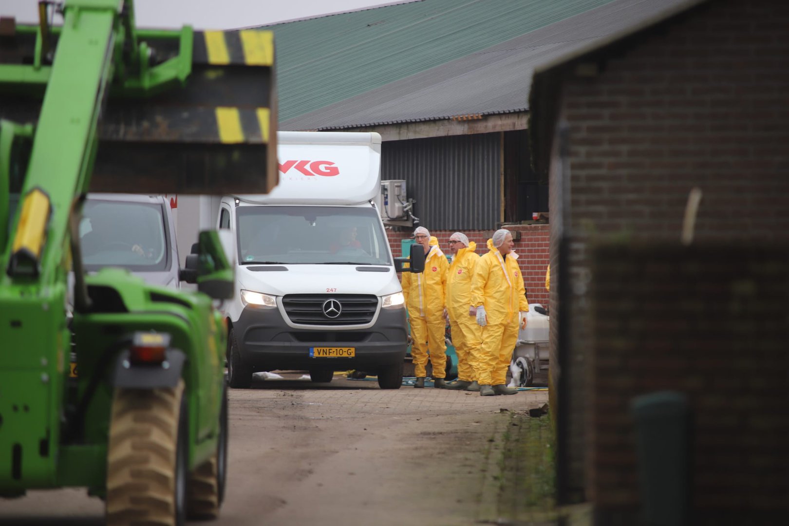 Duizenden eenden geruimd bij pluimveebedrijf vanwege vogelgriep