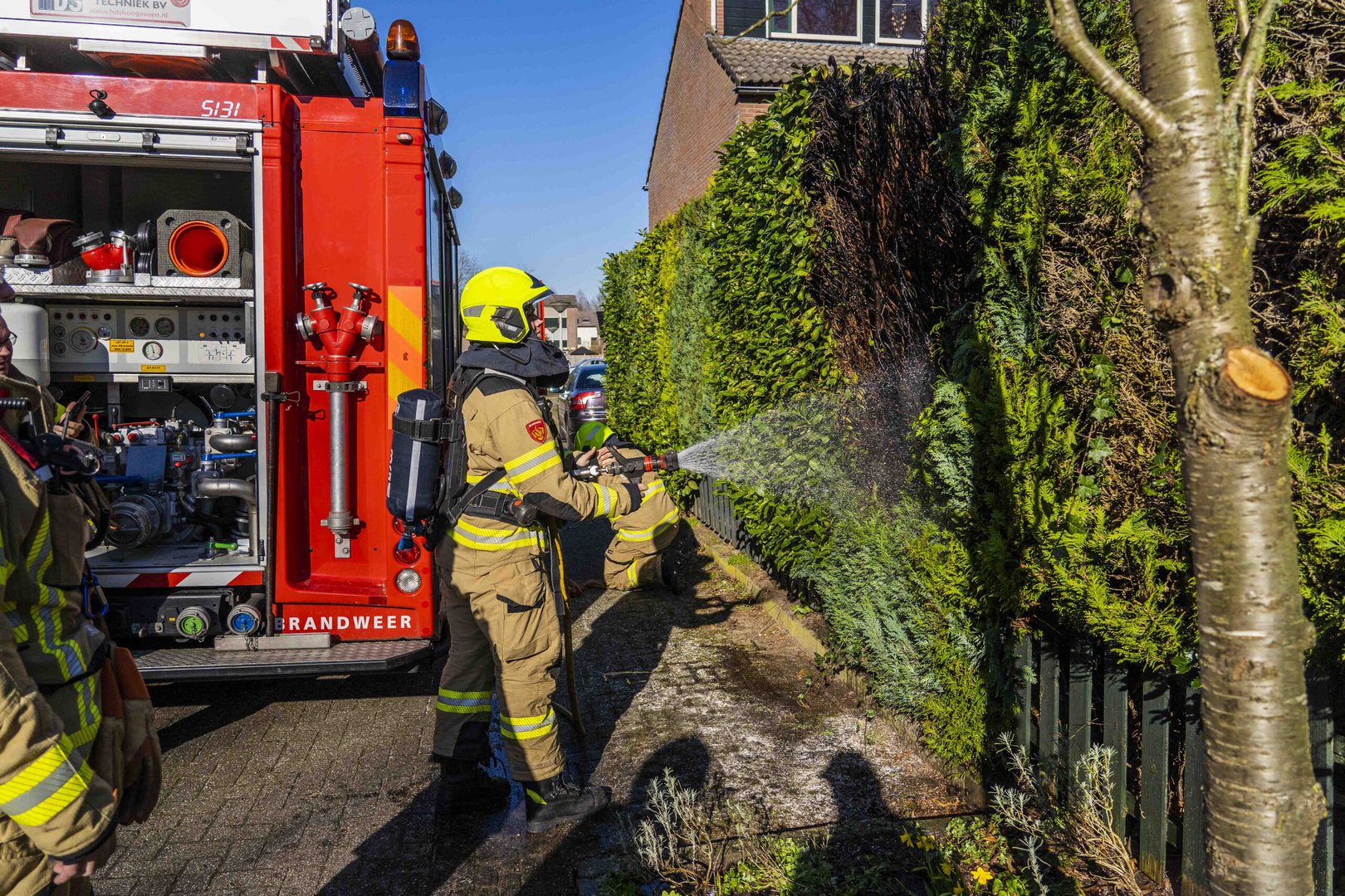 Heg vliegt in brand in Dieren