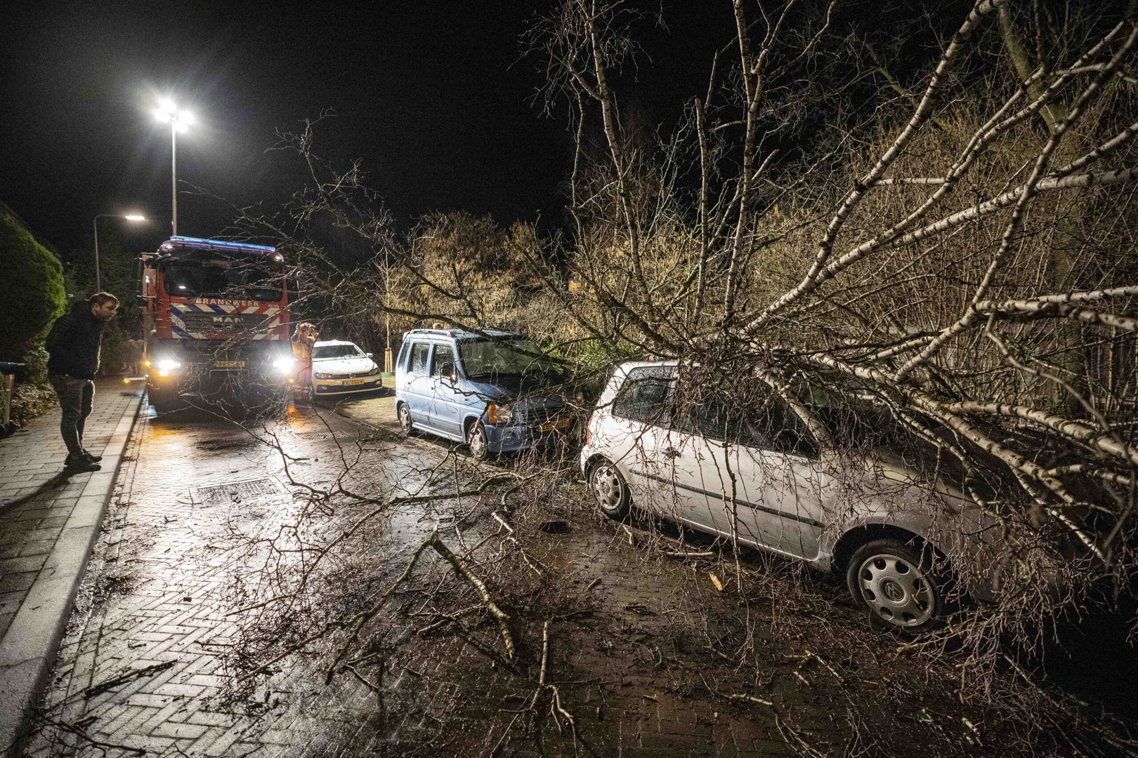 Boom waait om en valt op geparkeerde auto’s