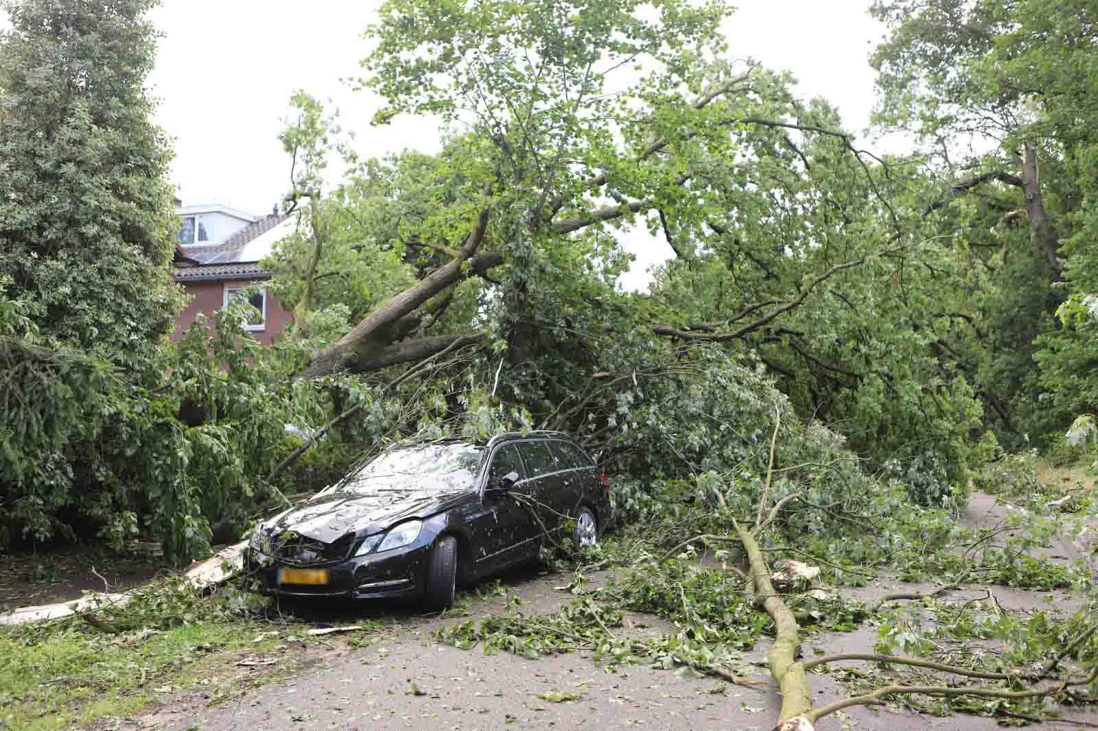 KNMI geeft code geel af wegens zware windstoten