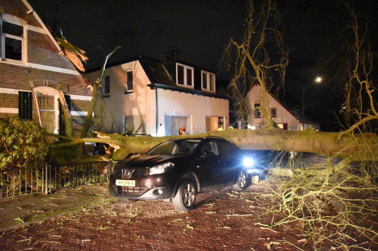 ’Veel bomen hebben nog maar klein zetje nodig’