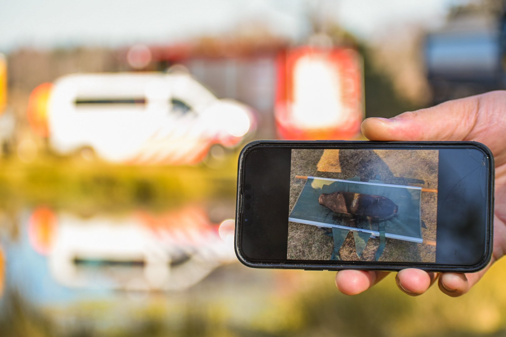 Bom gevonden en tot ontploffing gebracht in Wolfheze