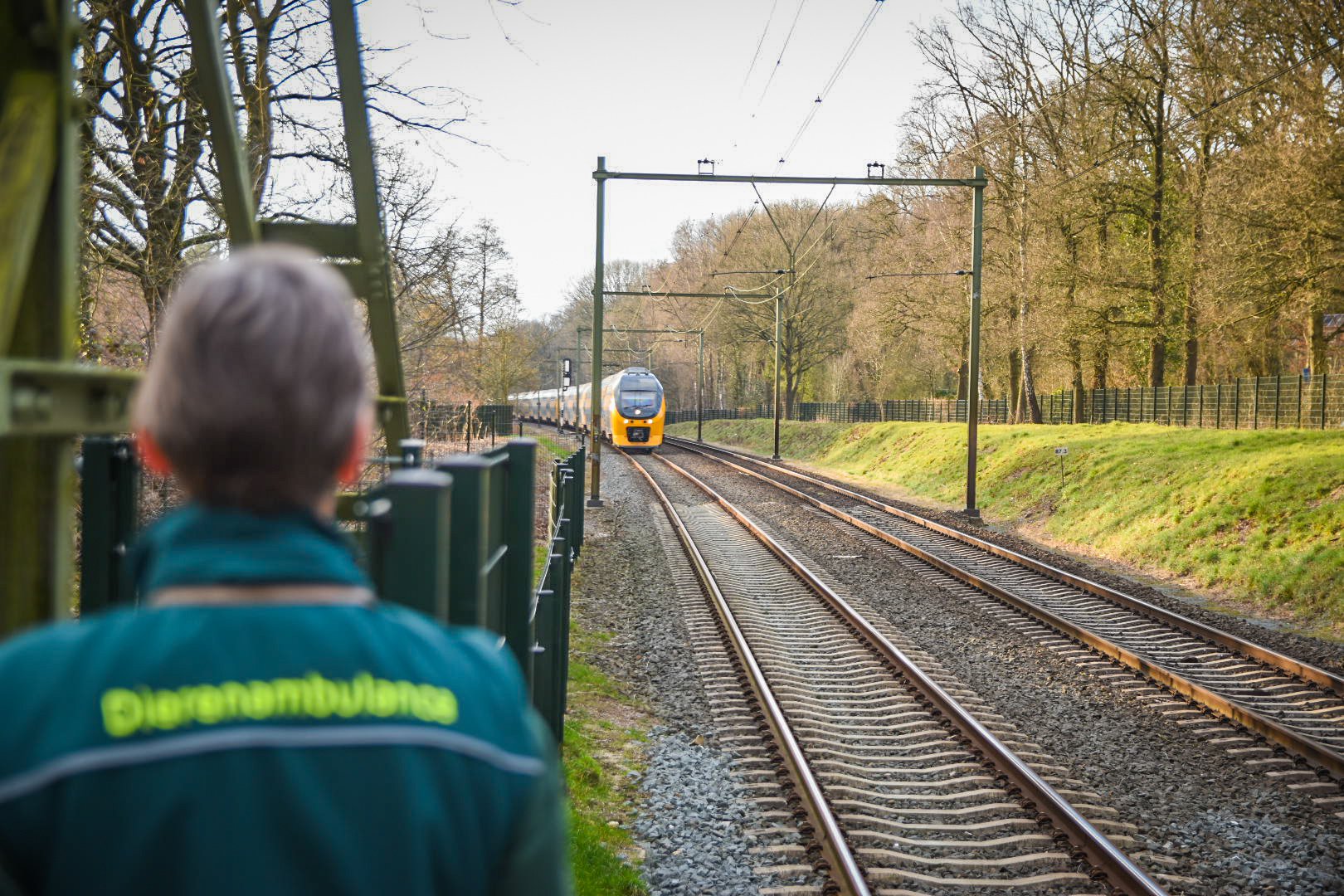 Treinverkeer gehinderd door hond op het spoor bij Oosterbeek