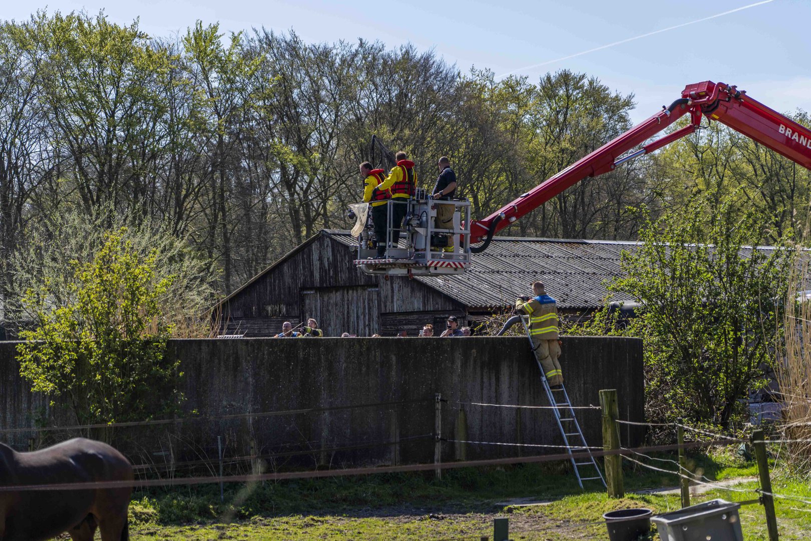 Brandweer red kuikens uit silo