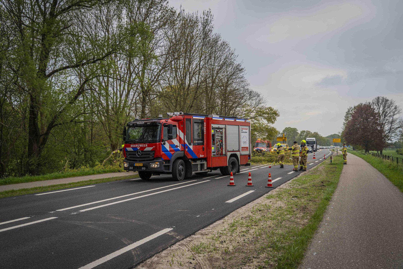 Bingerdenseweg tijdelijk afgesloten geweest door omgevallen boom