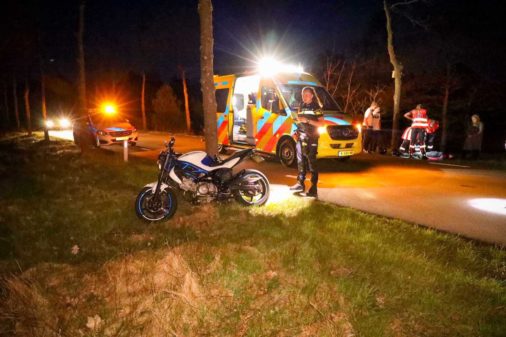 Motorrijder botst op hert, dier uit lijden verlost