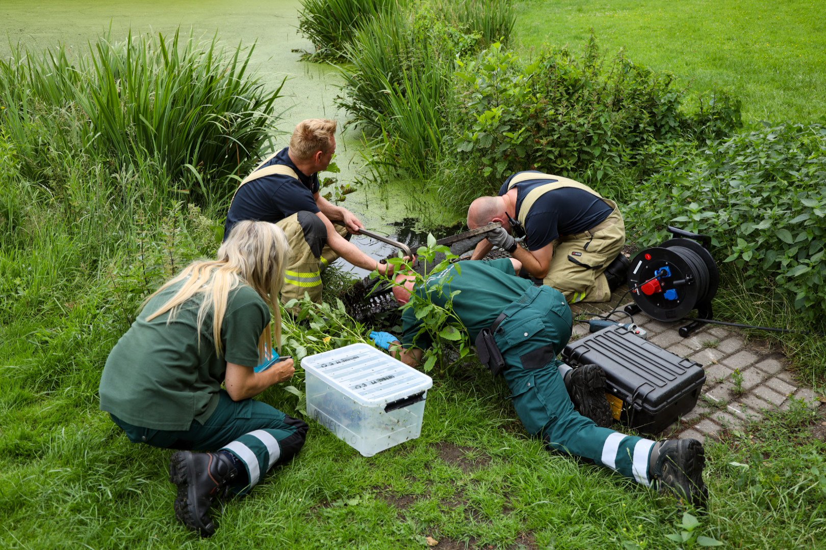 Brandweer redt samen met dierenambulance 5 eendenkuikens