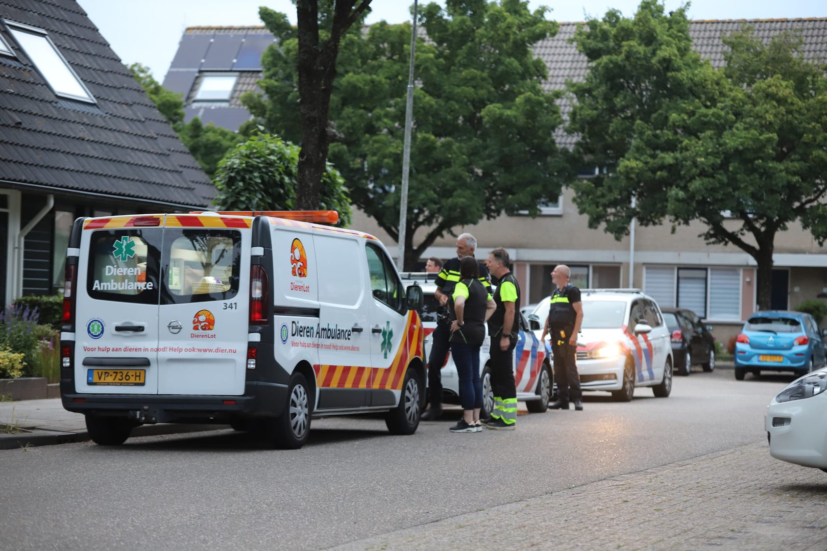 Hond ingeslapen na twee bijtincidenten in dag tijd: “Hond was pas net bij eigenaar”