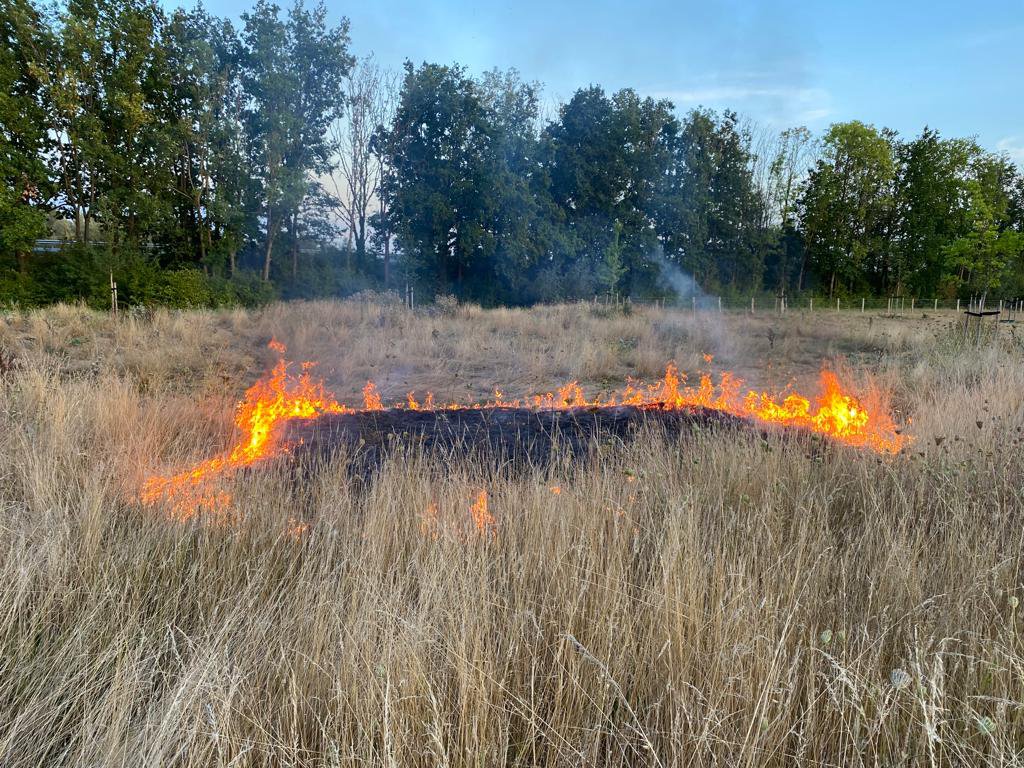 Brand in weiland in Rheden door vuurwerk