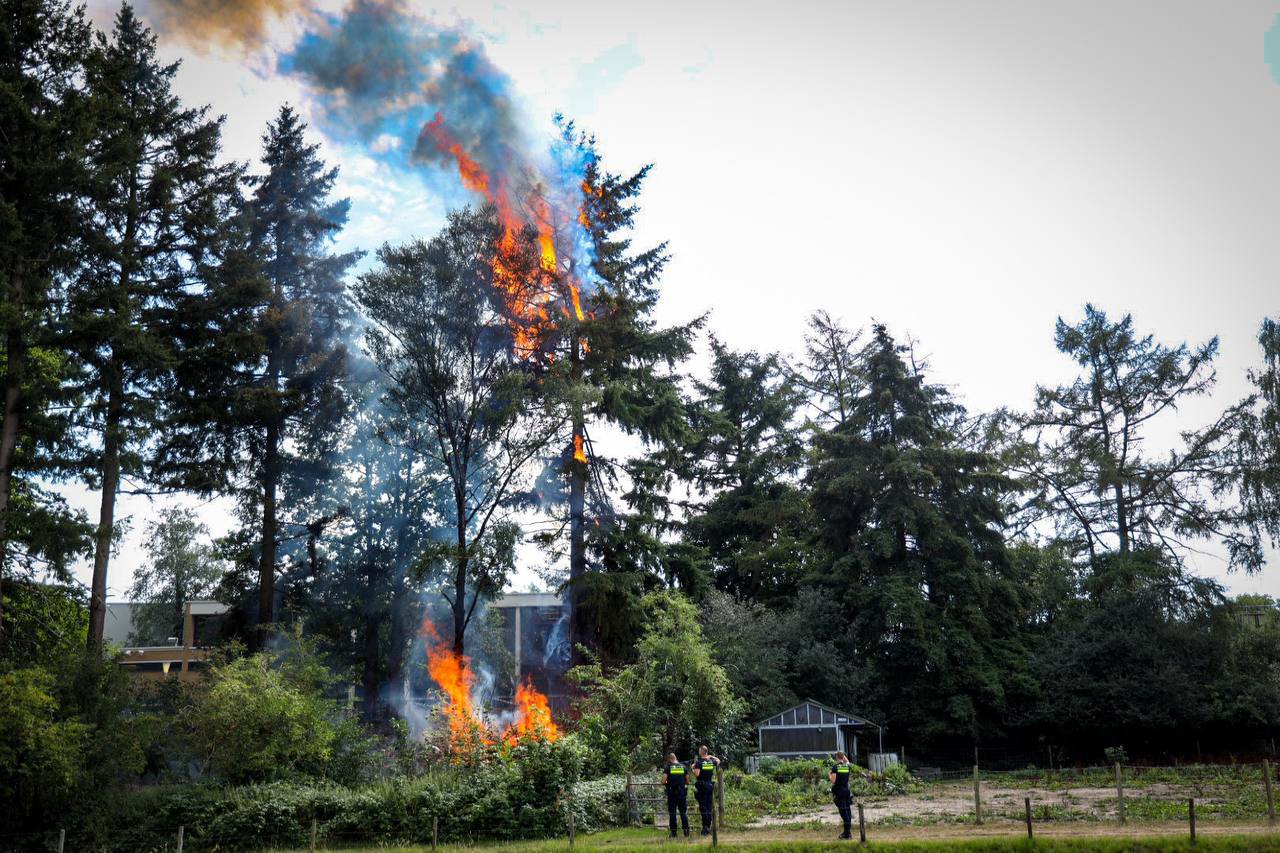 Felle brand Arnhem breidt zich snel uit naar de top van de bomen