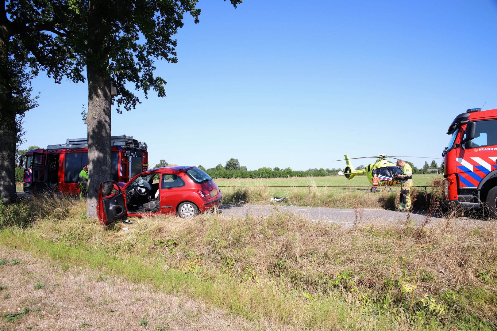 Automobilist gewond nadat hij op boom knalt