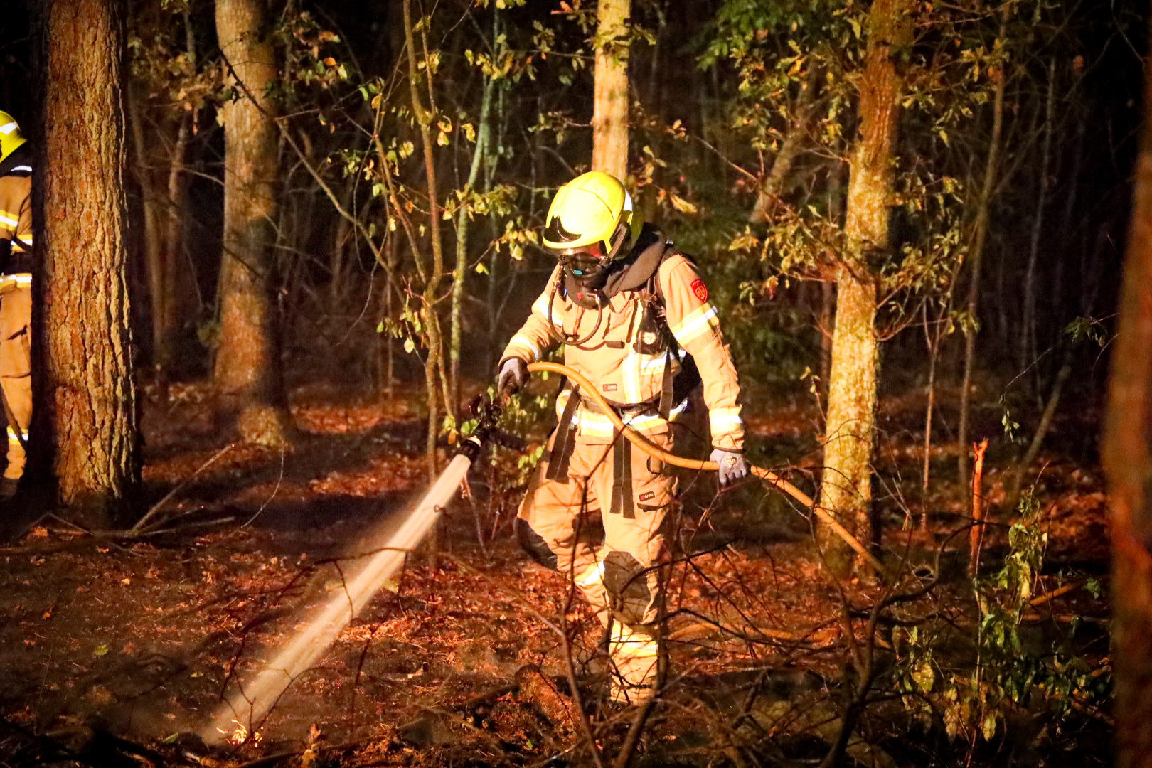 Bosbrand aan de Amsterdamseweg in Arnhem