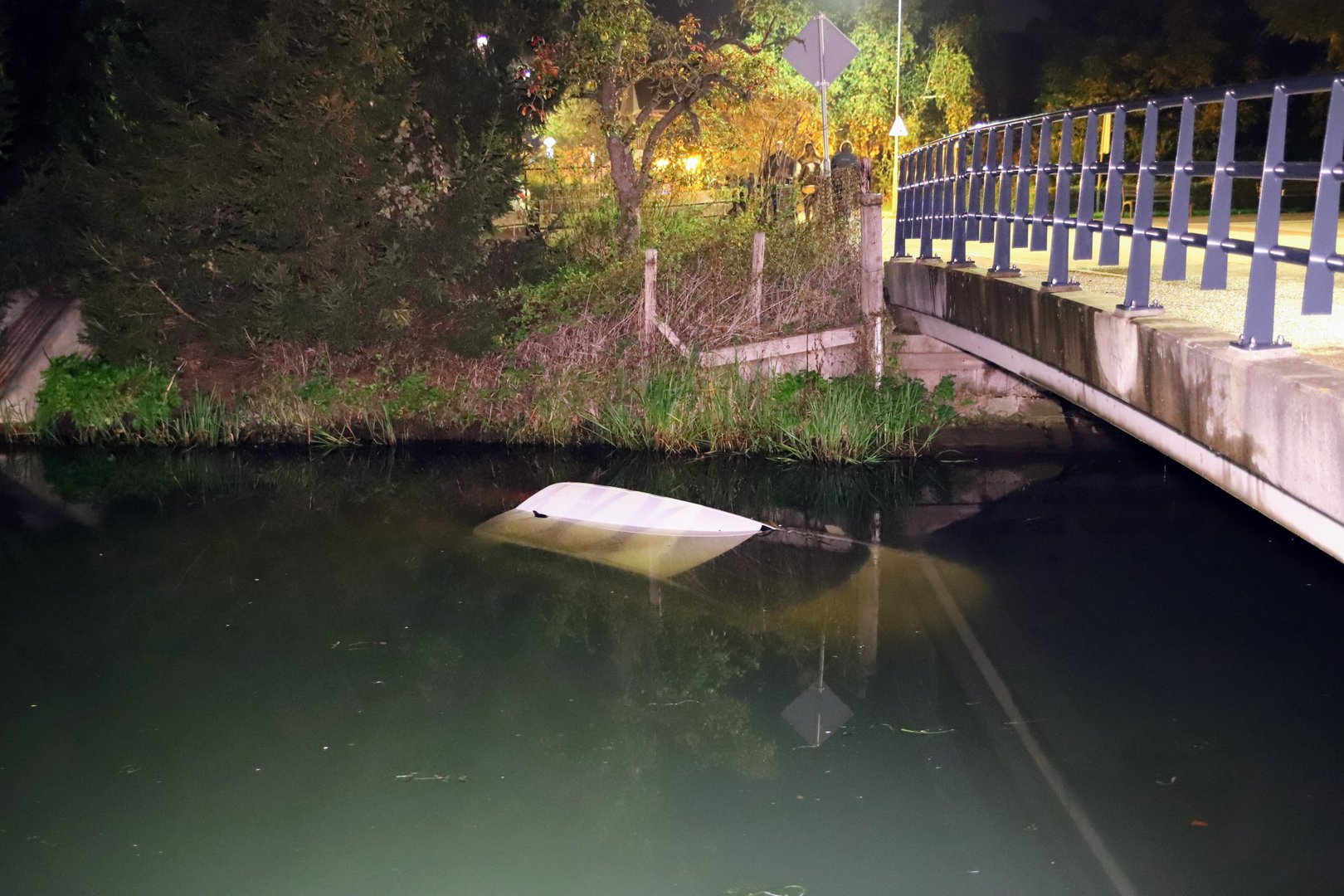 Bestuurder verliest macht over stuur en belandt in sloot