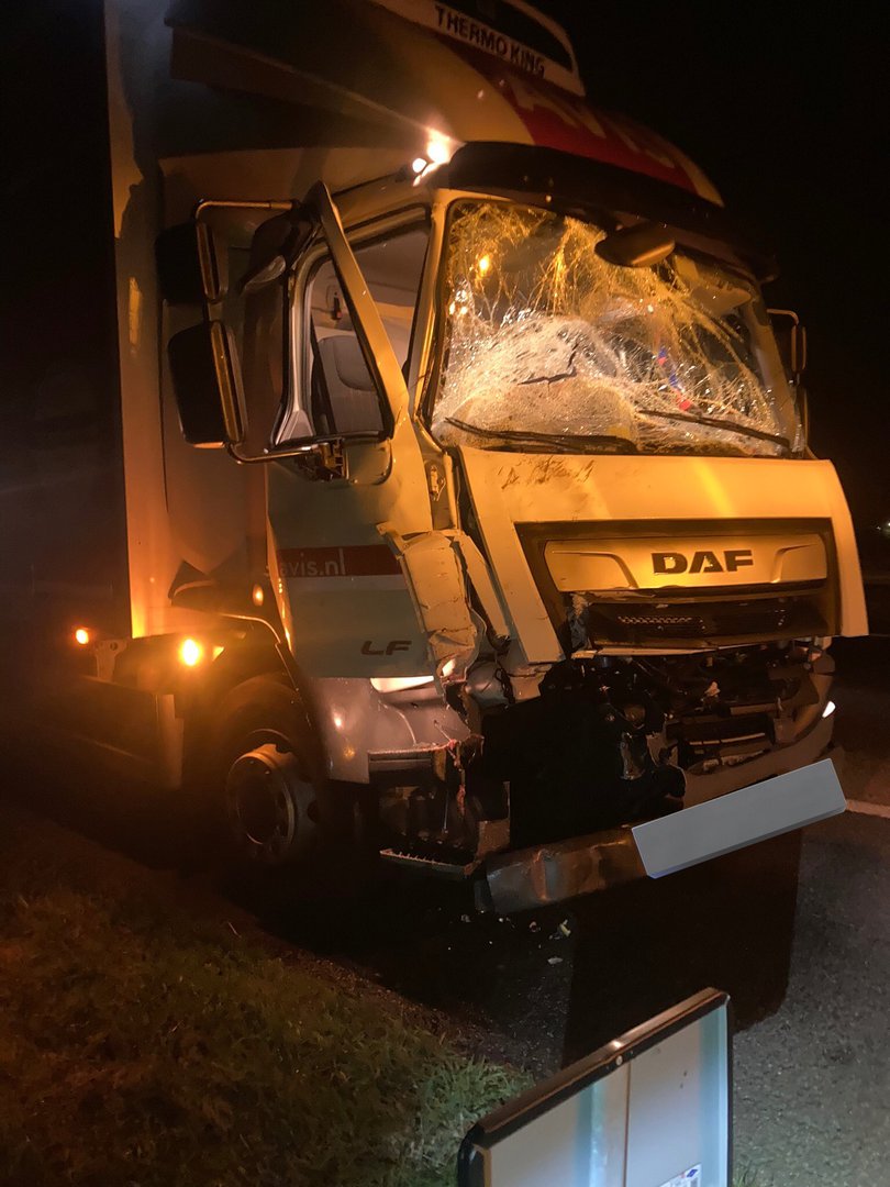Paarden verongelukken na aanrijding met vrachtwagens op de A50