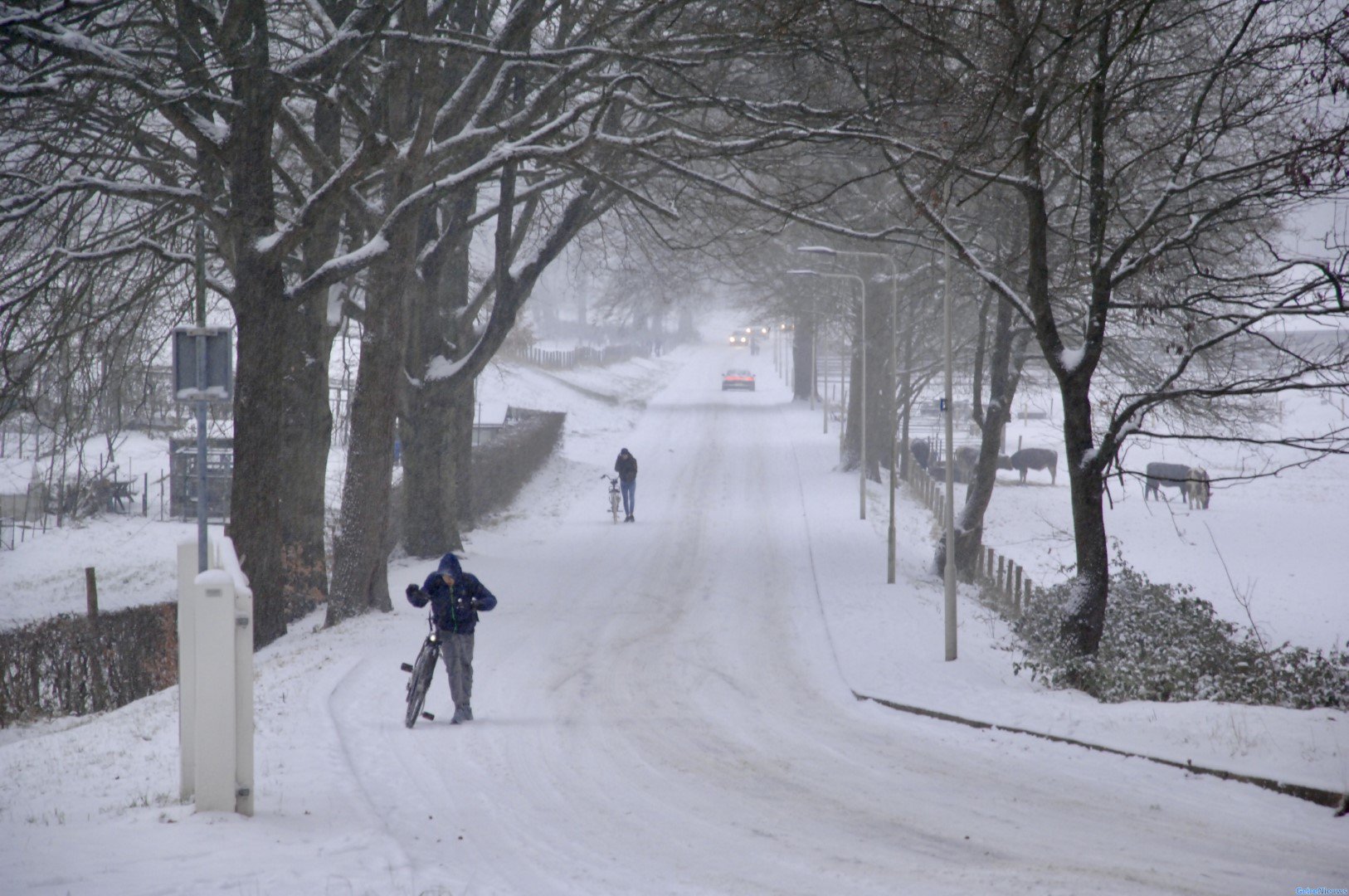 Winterse buien op komst met kans op sneeuw