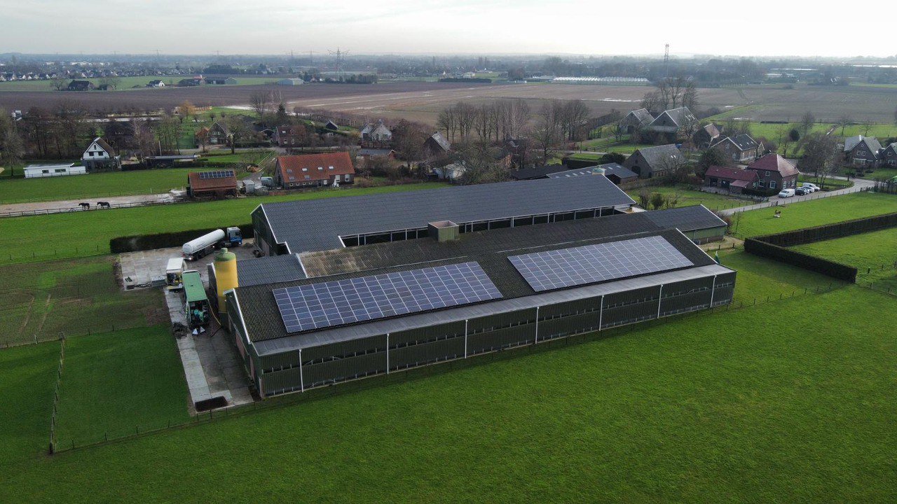 Vogelgriep opgedoken in Loo: 60.000 kippen geruimd