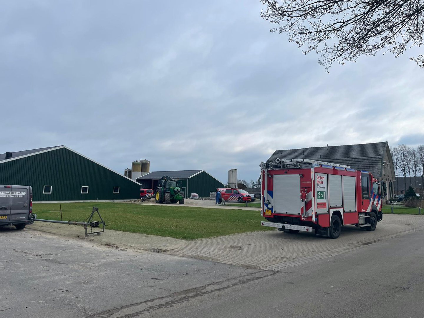 Tientallen varkens uit mestput gered