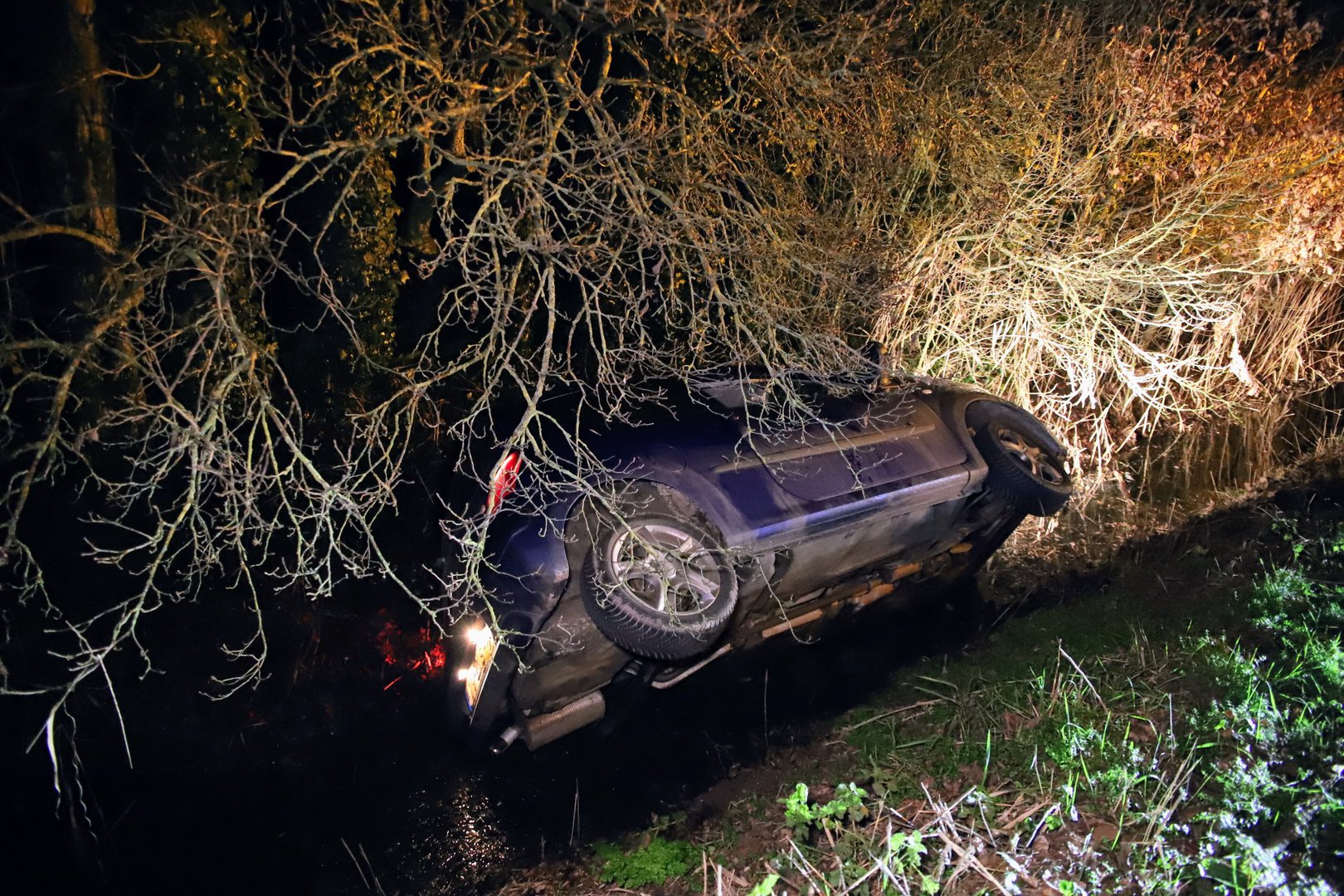 Vrouw schrikt van overstekend dier en belandt in de sloot