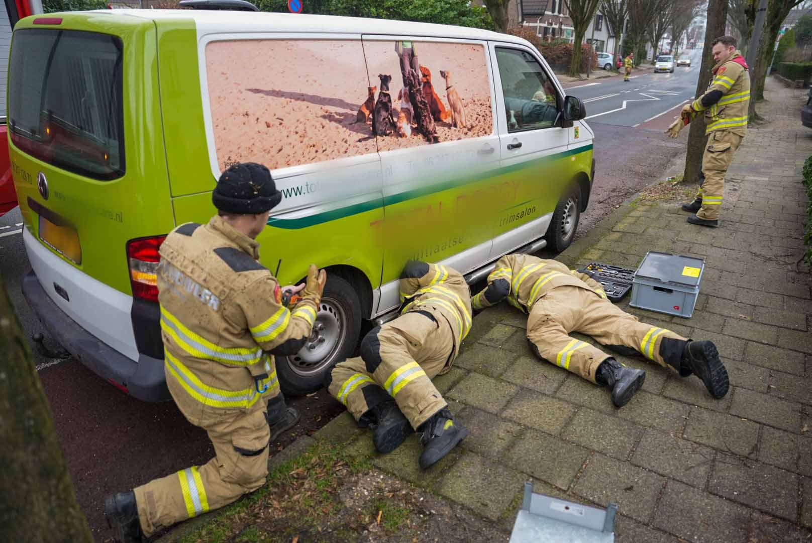 Gewonde kat komt vast te zitten onder busje