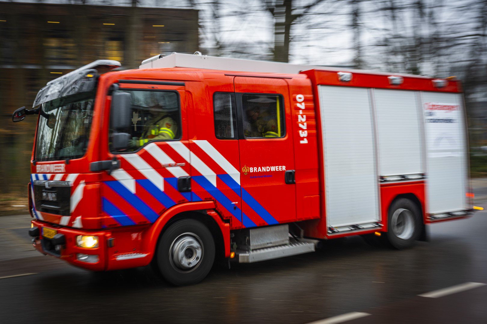Vrachtwagen vol varkens kantelt, meerdere varkens dood