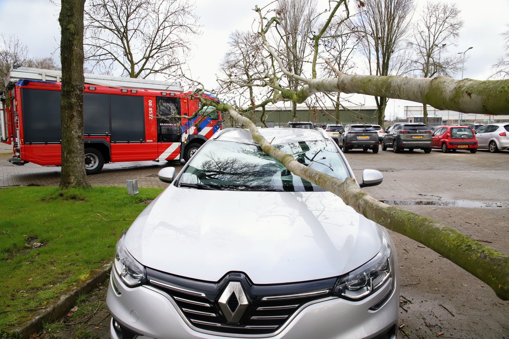 Boom valt op geparkeerde auto: Forse schade aan auto