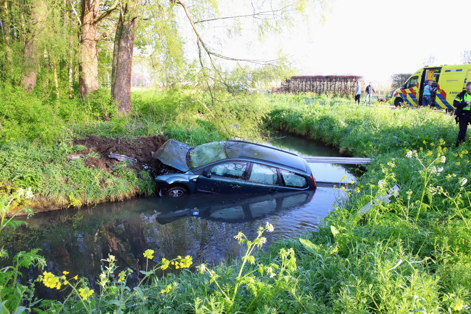 Auto belandt in de sloot, broedende gans komt met de schrik vrij