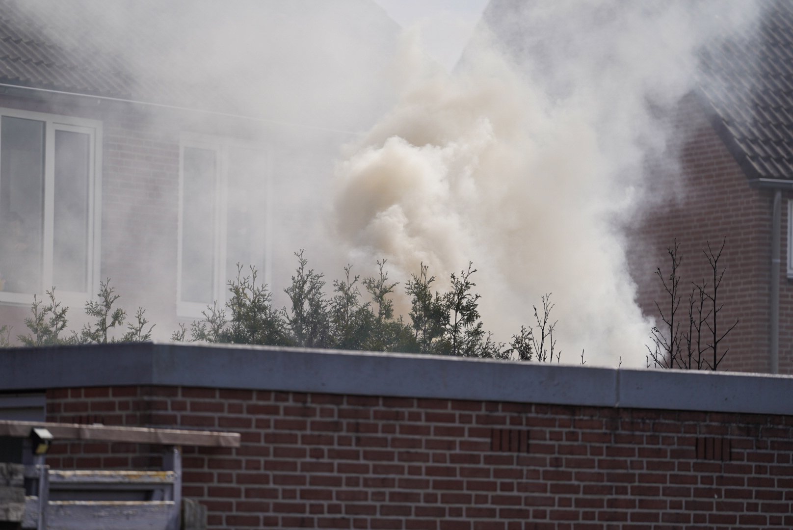 Onkruidbranden gaat mis: coniferenhaag in vlammen op