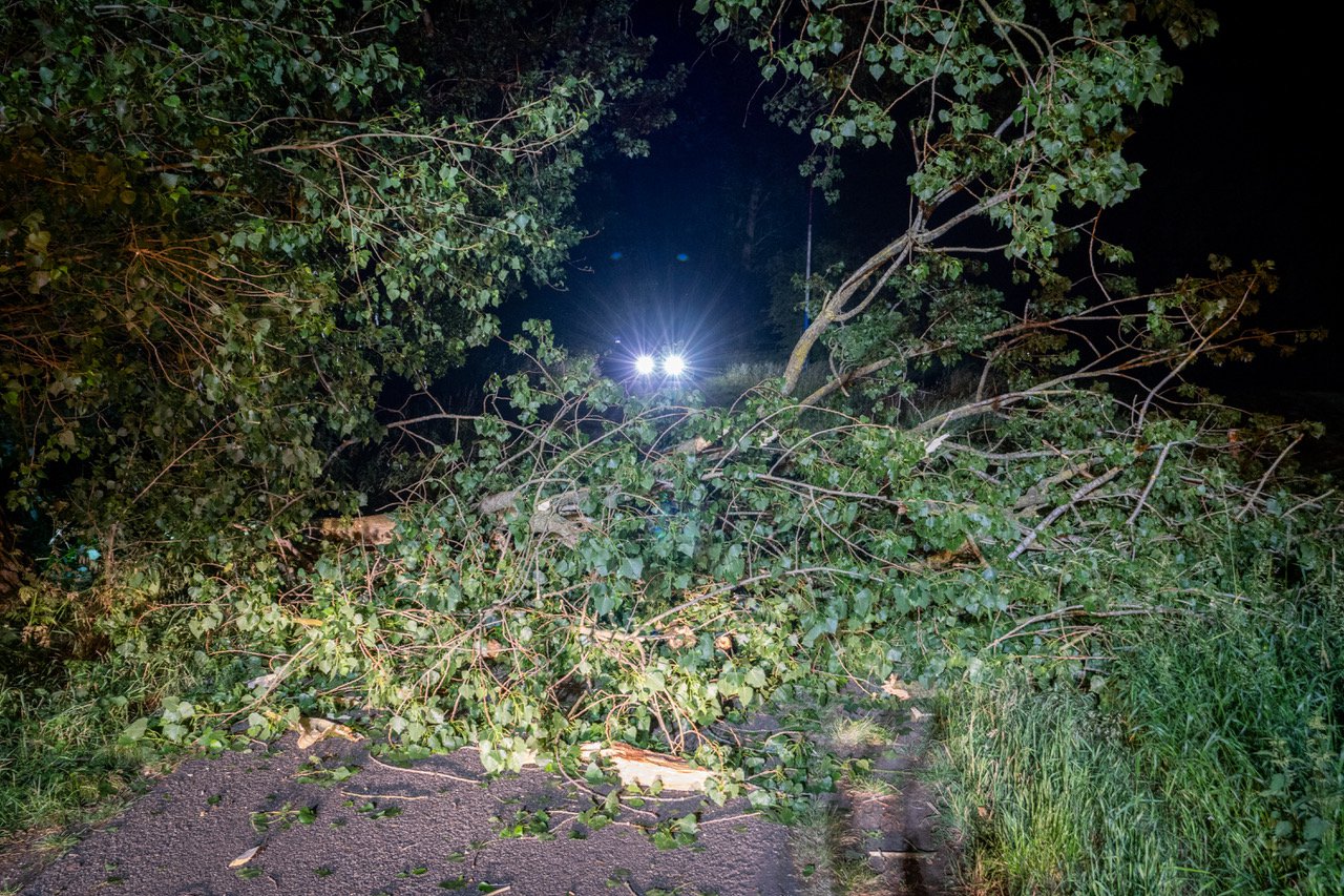 Duitser zitten vast door vallende boomtakken