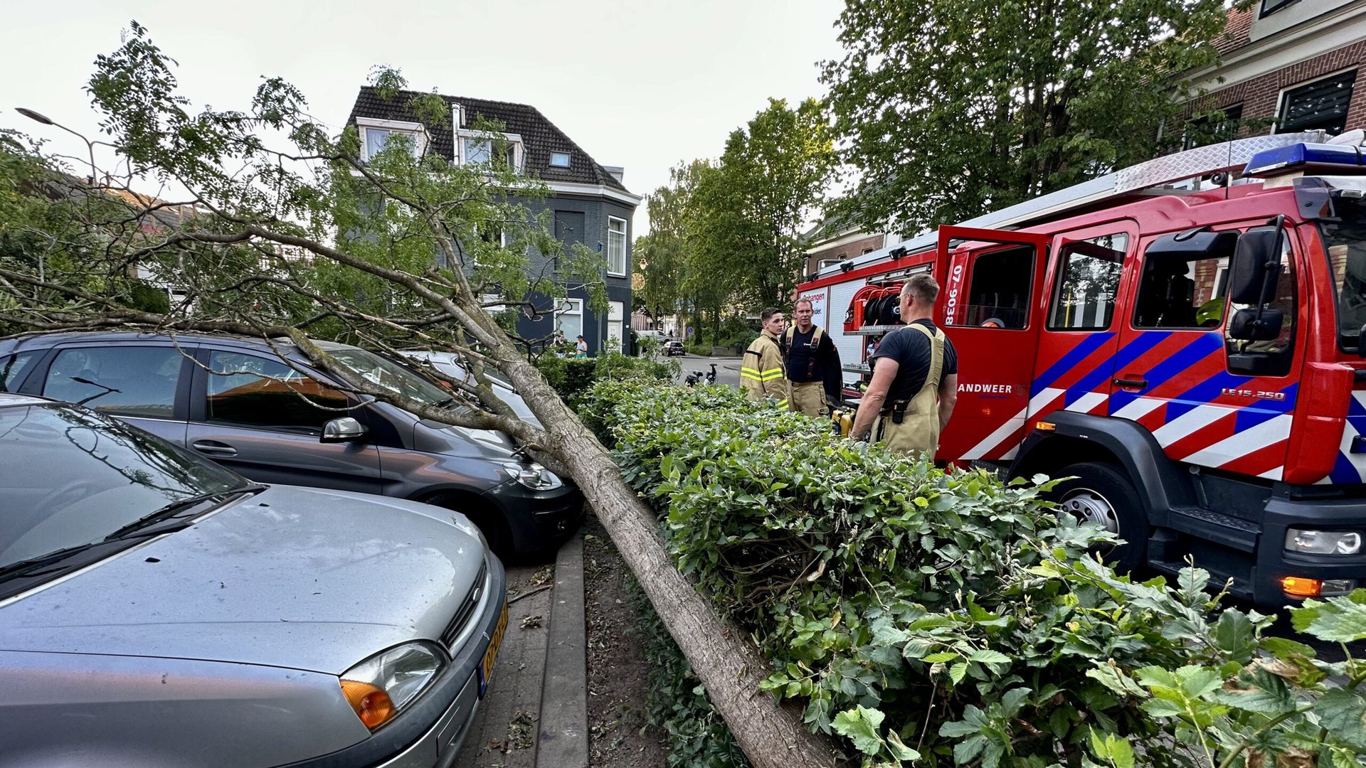 Boom valt op geparkeerde auto’s