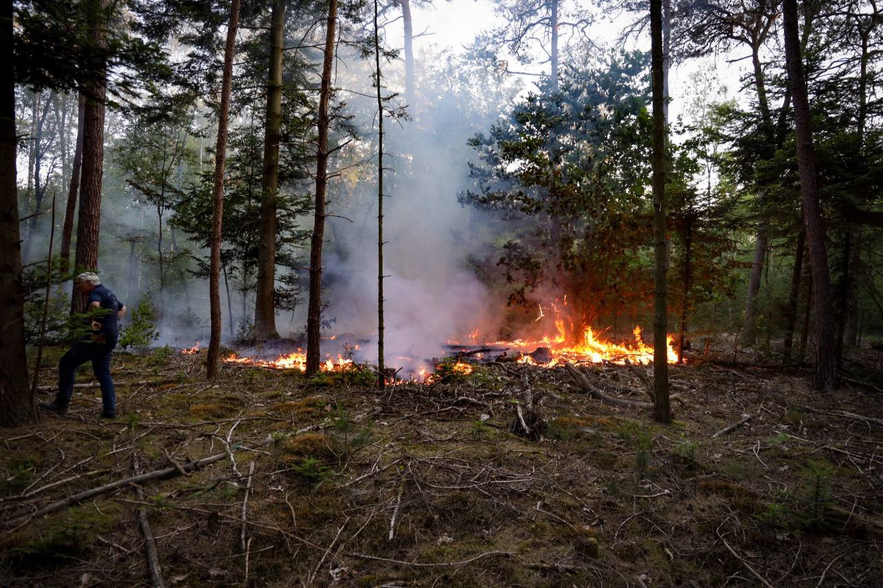 Bosbrand bij Deelen vermoedelijk aangestoken