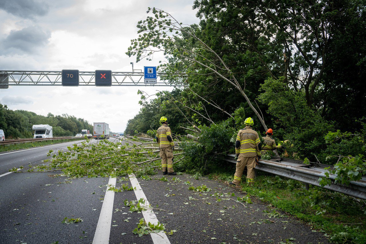 Snelweg deels afgesloten door omgevallen boom